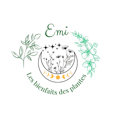 Logo Les Bienfaits des Plantes
