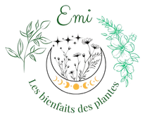 Logo Les Bienfaits des Plantes